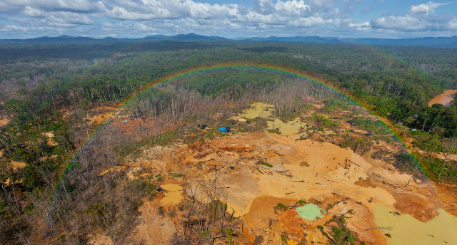 La Reserva Forestal Imataca - Arco Minero del Orinoco 